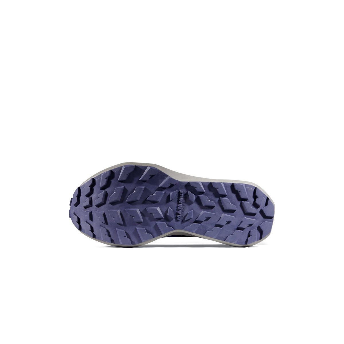 AENERGY MTN SEED LOW TURF PURPLE