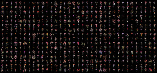 Digital Collectibles