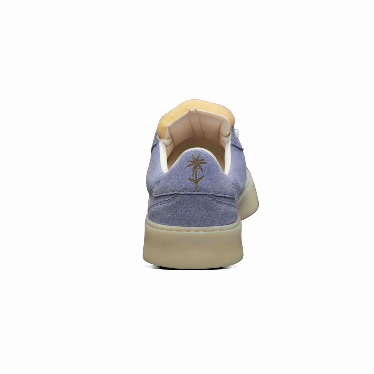 PROTOTYPE PERIWINKLE