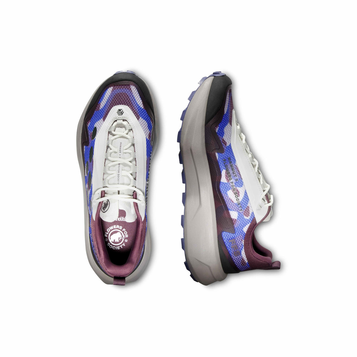 AENERGY MTN SEED LOW TURF PURPLE