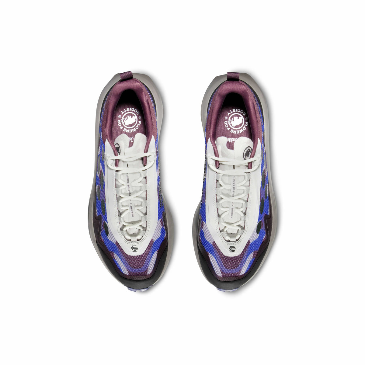 AENERGY MTN SEED LOW TURF PURPLE