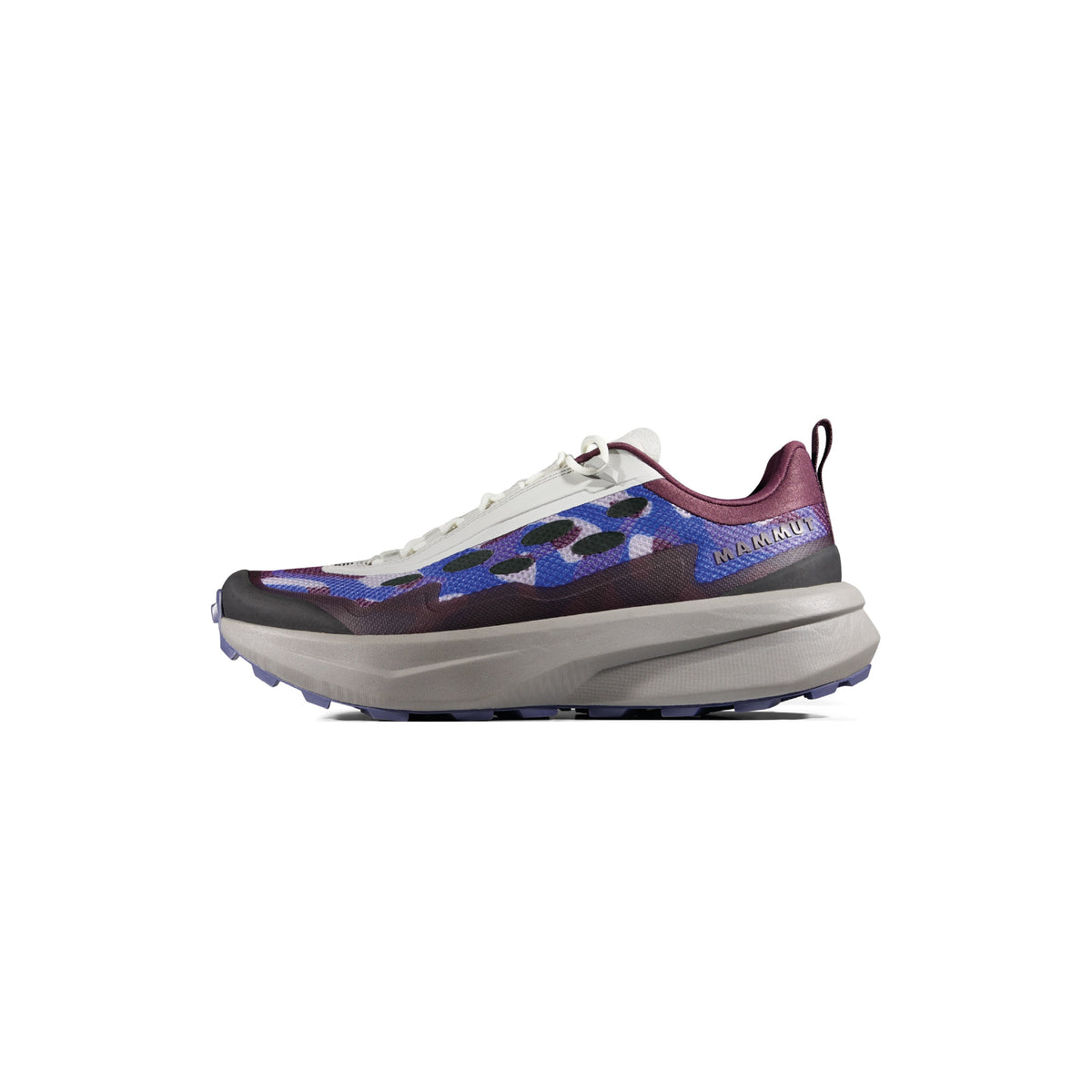 AENERGY MTN SEED LOW TURF PURPLE