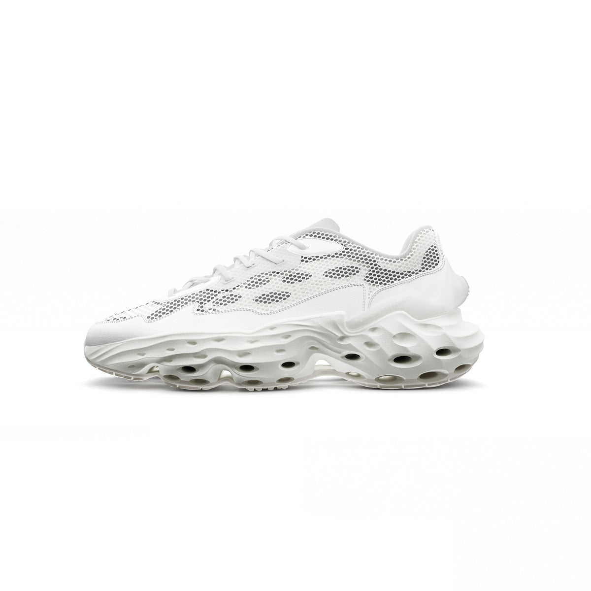 Blanc Canvas