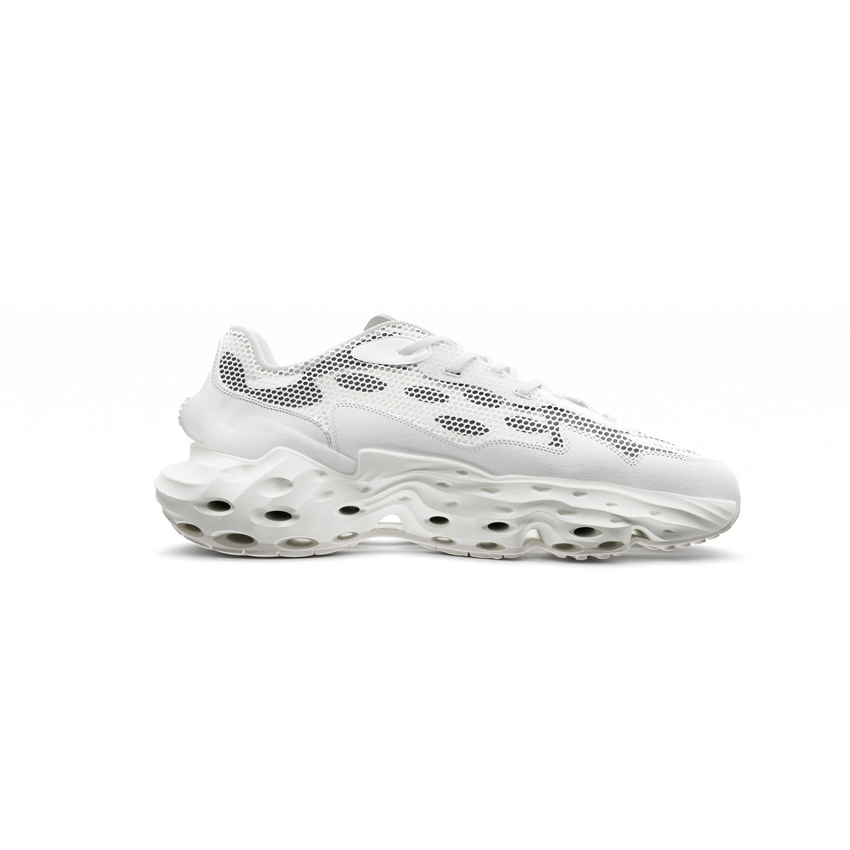 Blanc Canvas