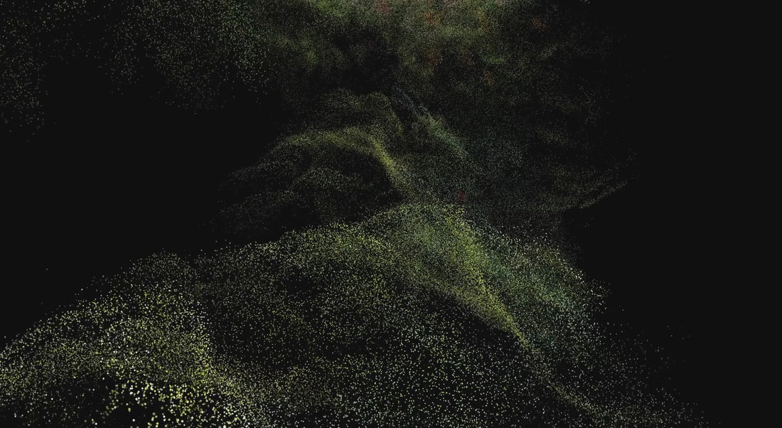Flowers For Society Point Cloud teaser video flying through the point cloud